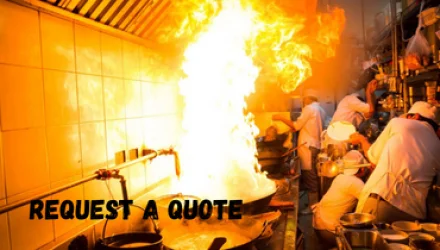 Kitchen Fire Suppression System
