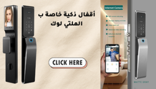 ZKteco Smart Lock TL300Z