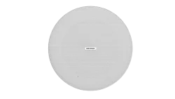 DS-QAZ0510G1 Analog Pendant Speaker 10W