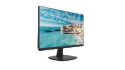 DS-D5024FN 23.8 inch FHD Borderless Monitor