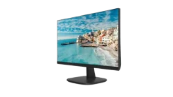 DS-D5024FN 23.8 inch FHD Borderless Monitor