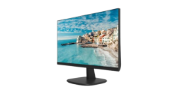 DS-D5024FN 23.8 inch FHD Borderless Monitor