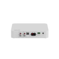 DS-QAE1A40G1-VB 40W 1-Zone Network Amplifier