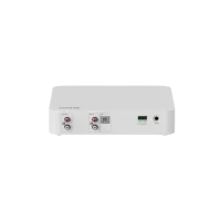 DS-QAE1DG1 Network Decoder