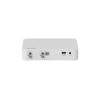 DS-QAE1DG1 Network Decoder