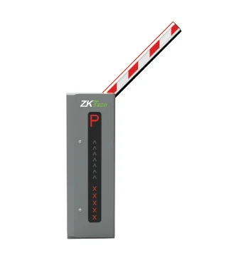 ZKTeco ProBG3060 up to 6Mt