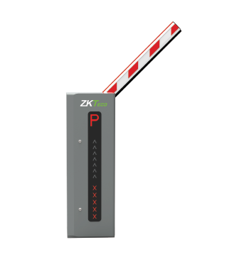 ZKTeco ProBG3060 up to 6Mt