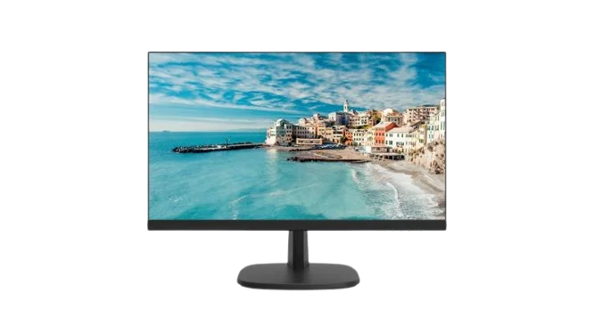 DS-D5024FN 23.8 inch FHD Borderless Monitor