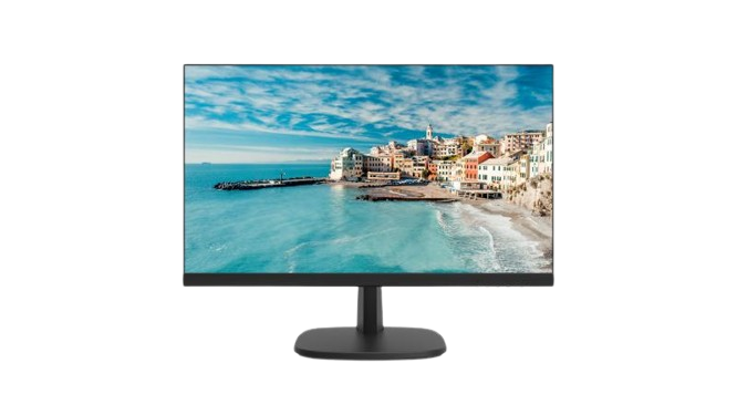 DS-D5024FN 23.8 inch FHD Borderless Monitor